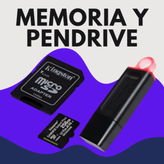MEMORIA Y PENDRIVE